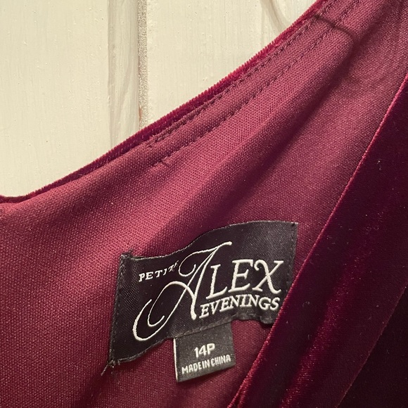 Alex Evenings long velvet dress - color is a wine/burgandy - Picture 2 of 5